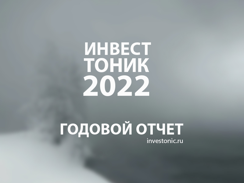 Годовой отчет Инвест Тоник 2022. Отчет об инвестициях, портфель, стратегия инвестирования.